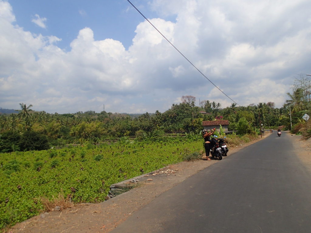 on the way to Banjar Hot Springs Lovina