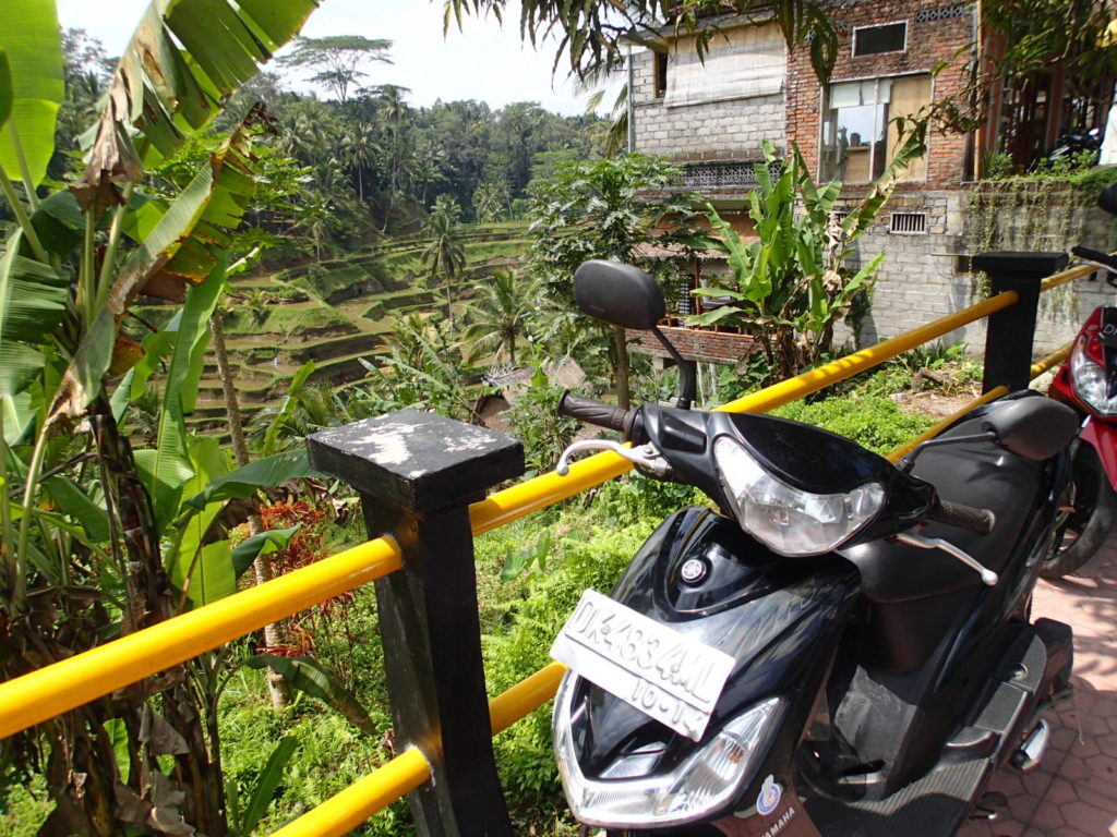 rental scooter bali