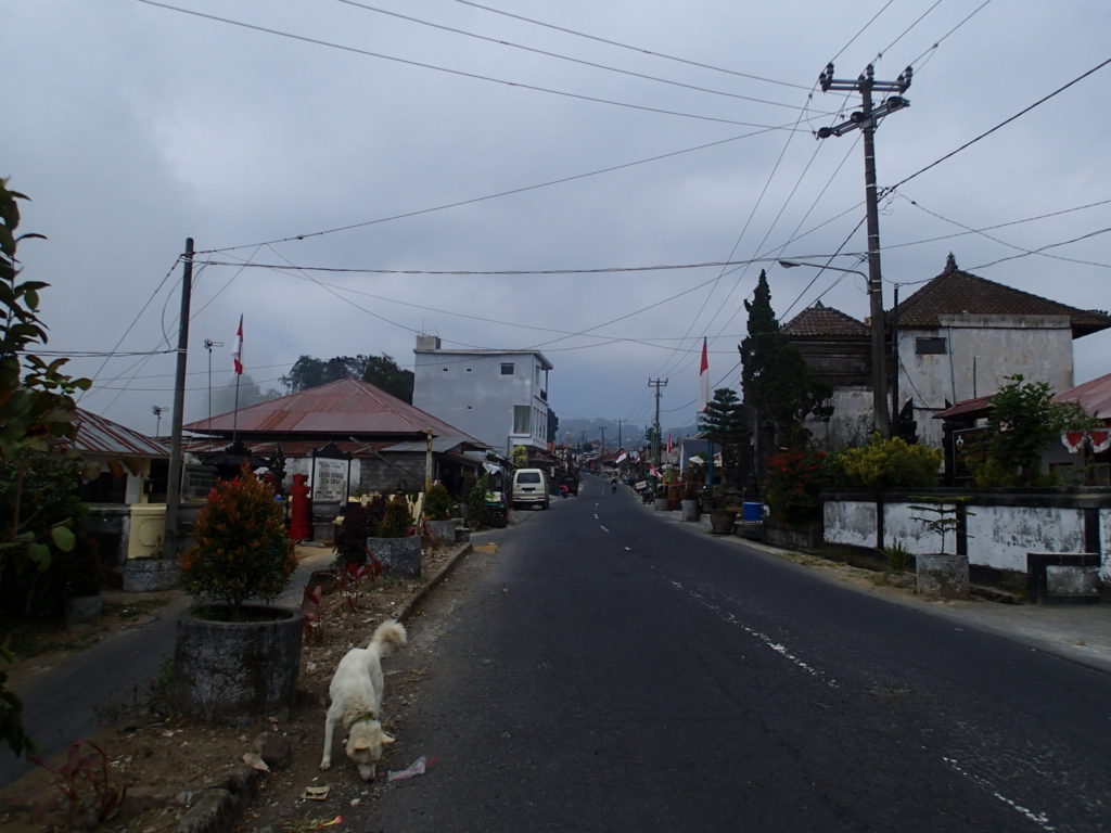 riding to Kintamani