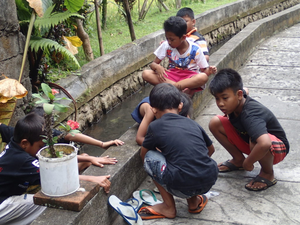 ubud bali kids after school